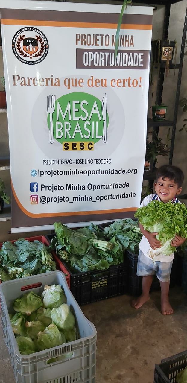 Distribuição de Alimentos